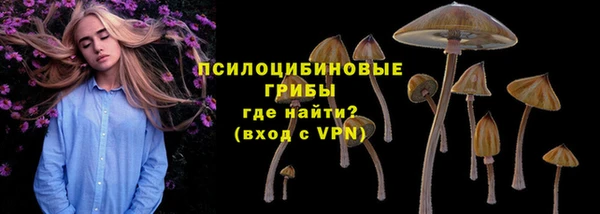 винт Куйбышев