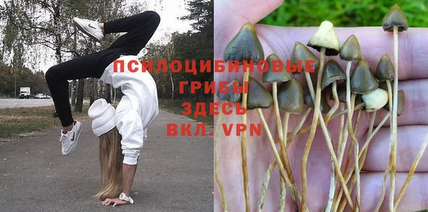 таблы Кукмор