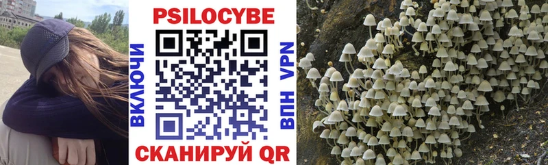 Купить закладки  Глазов  Псилоцибиновые грибы MAGIC MUSHROOMS 